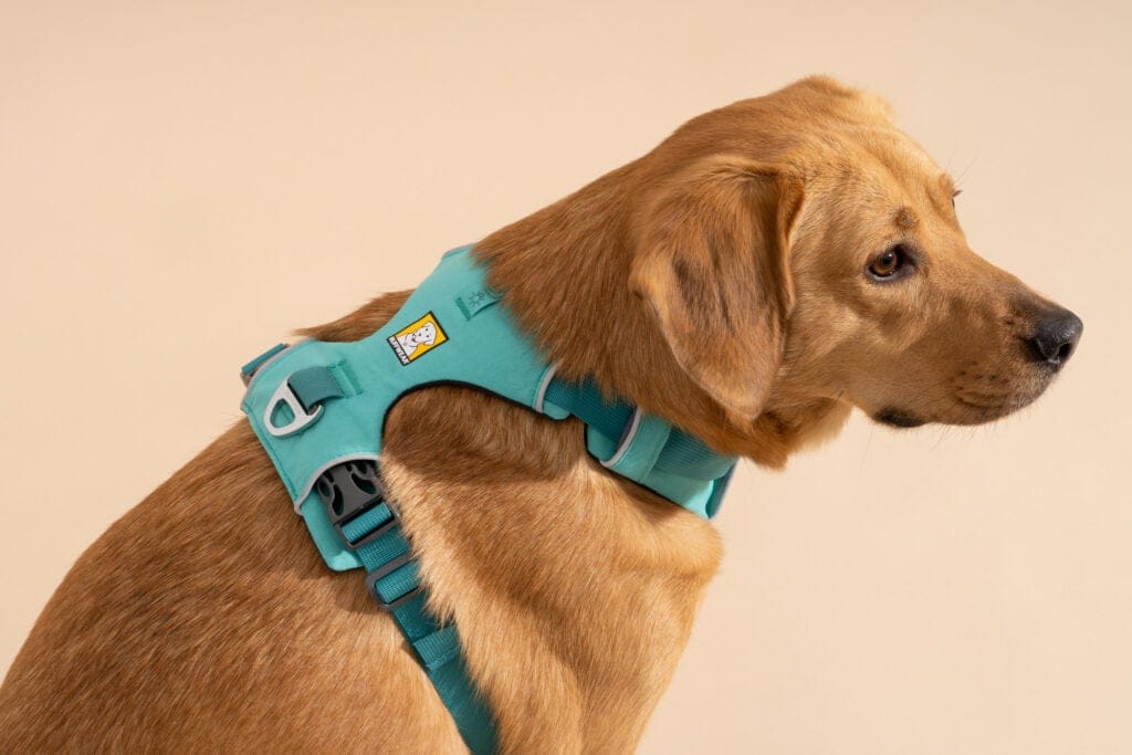 A New Harness in Town: Meta-Harness